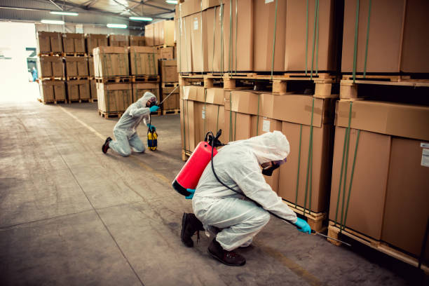 Best Emergency Pest Control  in Montgomeryville, PA