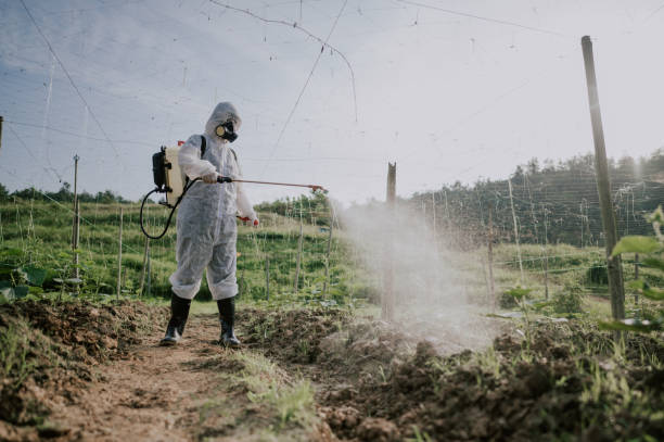 Best Commercial Pest Control Services  in Montgomeryville, PA