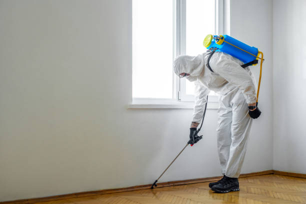 Best Mosquito Control Services  in Montgomeryville, PA