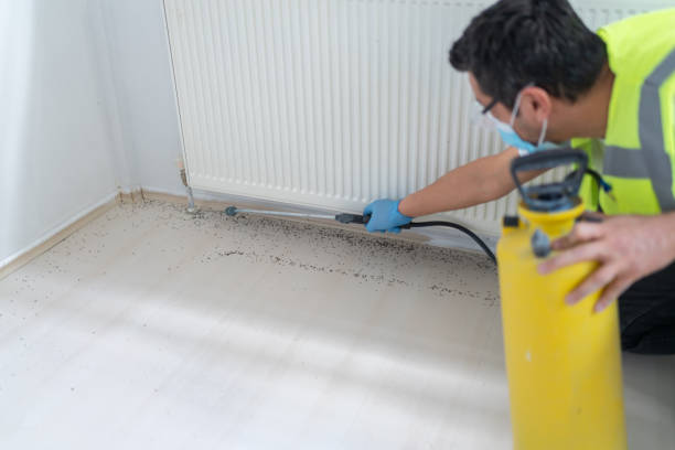 Best Exterminator Services  in Montgomeryville, PA