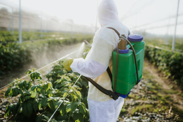 Best Commercial Pest Control Services  in Montgomeryville, PA